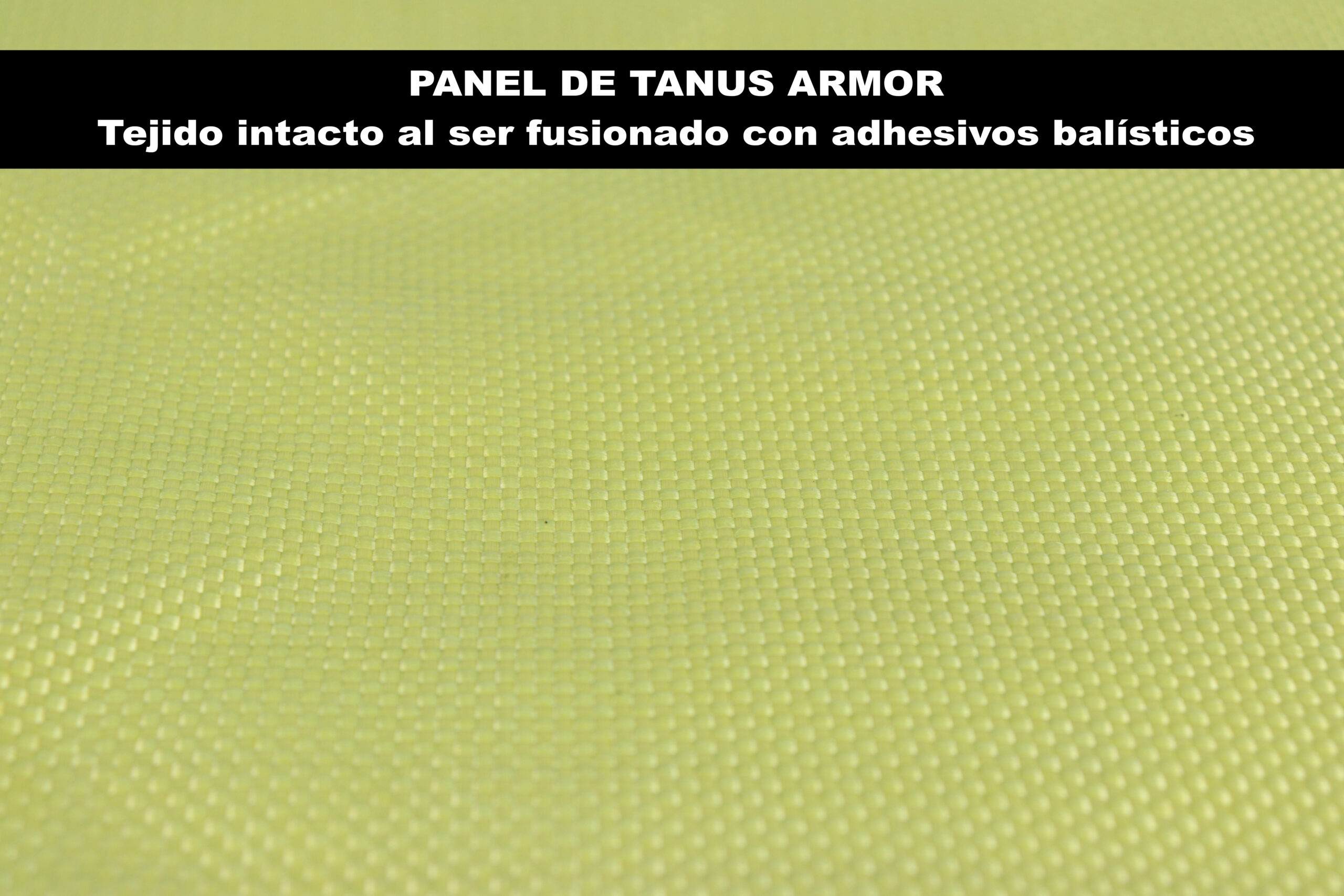 Panel Tanus Armor